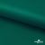 Ткань подкладочная Таффета, 19-5420, 53 г/м2, антистатик, шир. 150 см, вечнозеленый - купить в Пензе. Цена 57.16 руб.