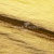 Текстильный материал "Диско"#1805 с покрытием РЕТ, 40гр/м2, 100% полиэстер, цв.5-золото - купить в Пензе. Цена 412.36 руб.
