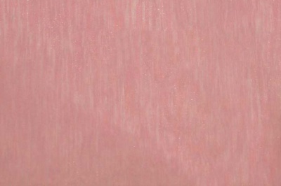 Органза однотонная "Амелия" С19 (Розовый) 280 см - купить в Пензе. Цена 303.09 руб.