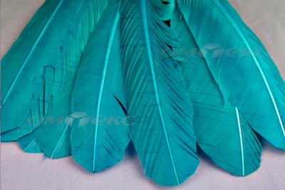 Декоративный Пучок из перьев, перо 24см/голубой - купить в Пензе. Цена: 12.19 руб.