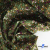 Ткань костюмная «Микровельвет велюровый принт», 220 г/м2, 97% полиэстр, 3% спандекс, ш. 150См Цв  #9 - купить в Пензе. Цена 439.76 руб.