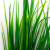 Трава искусственная -2, шт (осока 41см/8 см)				 - купить в Пензе. Цена: 104.57 руб.
