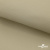 Ткань подкладочная TWILL 230T 14-1108, беж светлый 100% полиэстер,66 г/м2, шир.150 cм - купить в Пензе. Цена 90.59 руб.