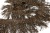 008-коричневый, Бахрома арт.001 шир.10см (упак.12+/-0,5м) - купить в Пензе. Цена: 1 017.33 руб.