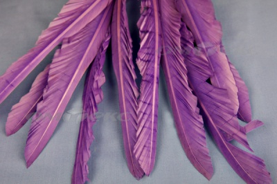 Декоративный Пучок из перьев, перо 25см/фиолетовый - купить в Пензе. Цена: 12.19 руб.