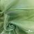 Ткань органза, 100% полиэстр, 28г/м2, шир. 150 см, цв. #27 зеленый - купить в Пензе. Цена 86.24 руб.
