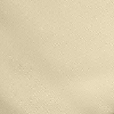 Ткань подкладочная Таффета 14-1014, антист., 54 гр/м2, шир.150см, цвет бежевый - купить в Пензе. Цена 65.53 руб.