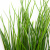 Трава искусственная -4, шт  (осока 50 см/8 см  7 листов)				 - купить в Пензе. Цена: 130.73 руб.