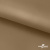 Ткань подкладочная Таффета 17-1327, антист., 54 гр/м2, шир.150см, цвет св.коричневый - купить в Пензе. Цена 65.53 руб.